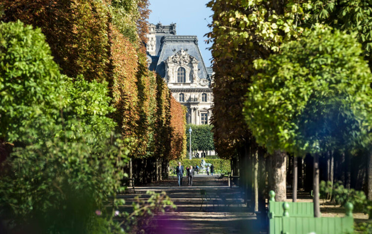 Allée du jardin des Tuileries © Olivier Ouadah