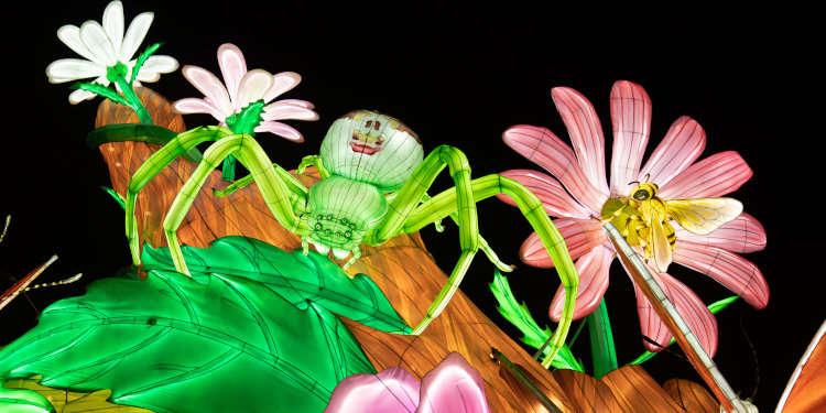 Expositions Mini-mondes en voie d'illumination au Jardin des Plantes ©  China Light Festival B.V. et Sichuan Tianyu Culture Communication Co.,Ltd.