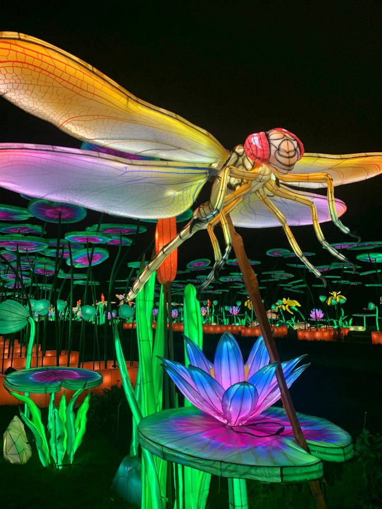 Mini-mondes en voie d'illumination au Jardin des Plantes © China Light Festival B.V. et Sichuan Tianyu Culture Communication Co.,Ltd.