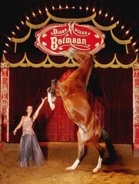 Cirque Diana Moreno Bormann : Le Cirque de la Belle époque