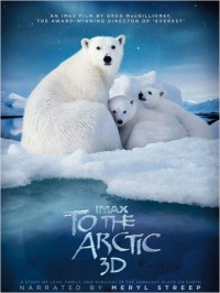 Arctique : Affiche