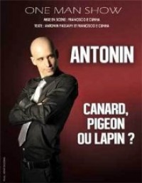 Antonin : Canard, pigeon ou lapin