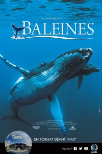 Baleines : Affiche