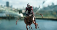 Paul Rudd (Scott Lang / Ant-Man)