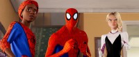 Miles Morales, Peter Parker, Spider-Gwen