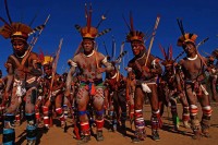 Ciné-conférence ALTAÏR : Amazonia, Les cueilleurs de mémoire - Réalisation Patrick Bernard - Photo