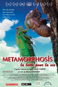 Métamorphosis, la lutte pour la vie - affiche