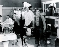 Ma vache et moi - Réalisation Buster Keaton - Photo
