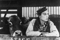 Ma vache et moi - Réalisation Buster Keaton - Photo