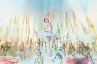 Royal Opera House : Cendrillon (Ballet) - Réalisation Frederick Ashton - Photo