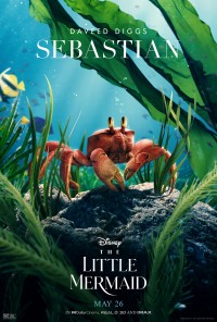 La Petite Sirène - Sebastian