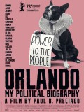 Affiche Orlando, ma biographie politique - Paul B. Preciado
