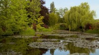 Peindre le jardin moderne : de Monet à Matisse - Réalisation David Bickerstaff - Photo