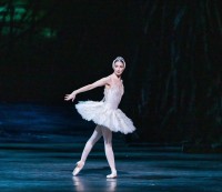 Le Royal Ballet : Le Lac des Cygnes - Réalisation Liam Scarlett - Photo
