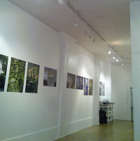 Galerie Akié Arichi - Intérieur