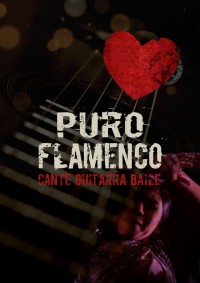 Puro Flamenco à L'Ogresse Théâtre