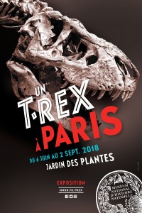 Un T. Rex à Paris à la Galerie de Minéralogie et de Géologie