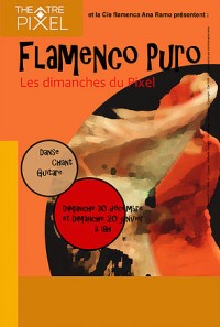 Flamenco puro au Théâtre Pixel