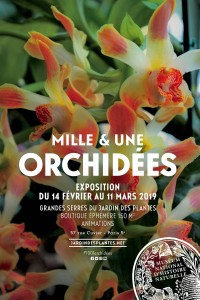 Mille et une Orchidées 2019 au Muséum d'Histoire naturelle
