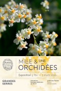 Mille & une Orchidées 2020 au Muséum national d'Histoire naturelle