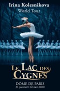 Le Lac des cygnes au Dôme de Paris - Palais des Sports