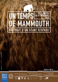 Un temps de mammouth au Musée Archéa