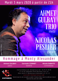 Ahmet Gülbay trio en concert
