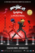 Affiche Miraculous : Ladybug et Chat Noir au Palais des Sports