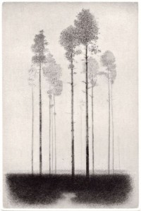 Gunnar NORRMAN - Tallhed, 1964 -  pointe sèche sur papier -  21 x 14 cm [30 x 23 cm]