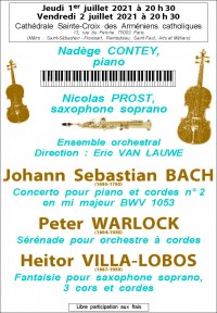 Ensemble orchestral, Nadège Contey et Nicolas Prost en concert