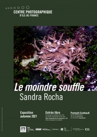 Affiche de l'exposition Sandra Rocha, Le moindre souffle au Centre photographique d'Île-de-France 