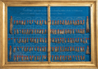 Tableaux d’échantillons de laine de mérinos 1786-1996. 
