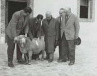 Photographie de la visite de membres de la Fédération nationale ovine (FNO), [1950-1960].


