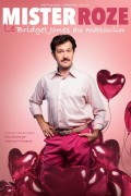 Affiche Mister Roze, le Bridget Jones au masculin - Palais des Glaces