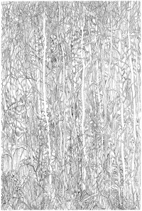 Dessin préparatoire pour la Forêt de soie, 2021, encre sur papier, 36 x 26 cm