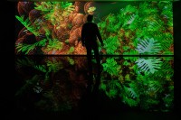 Exposition Miguel Chevalier, Paradis artificiels 2022 à la Maison Elsa Triolet - Aragon
