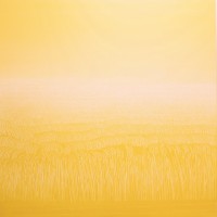 Laurent CHABOT, Champ de blé 1, huile sur toile, 220x220 cm, 2020