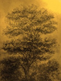 Tropisme n°82, Stéphanie BILLARANT - Encre de Chine et acrylique sur bois - 140 x 100 cm - 2022