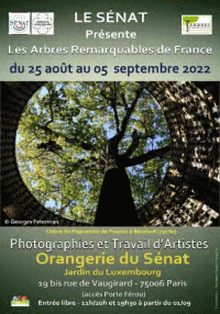Affiche de l'exposition Les Arbres remarquables à l'Orangerie du Sénat - Jardin du Luxembourg