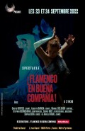 Affiche - Flamenco en buena compania
