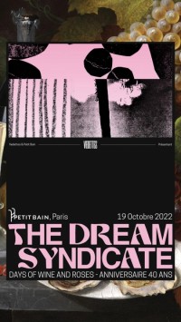 The Dream Syndicate en concert
