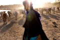 Mali, Mopti, chaque soir la plupart des bergers peuls de la région ramènent leurs troupeaux en ville pour y passer la nuit. L’insécurité est extrême, les djihadistes de la Katiba Macina du prédicateur Amadou Kouffa sont présents à moins de 10 kilomètres.