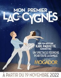Affiche Mon premier Lac des Cygnes - Théâtre Mogador