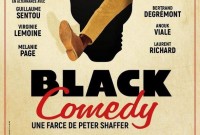 Affiche Black Comedy - Théâtre du Casino