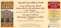 La Camerata Saint-Louis de Paris en concert