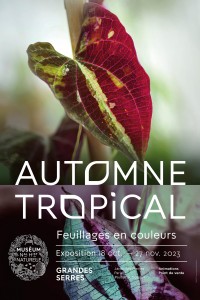 Automne tropical 2023