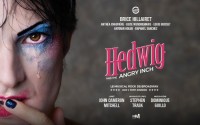 Affiche Hedwig and the Angry Inch - Café de la Danse