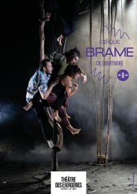 Affiche Brame - Théâtre des Bergeries
