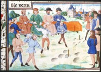 L’entrainement sportif des jeunes nobles. XVe s. 
Paris, BnF, ms fr 6185, folio 143 
