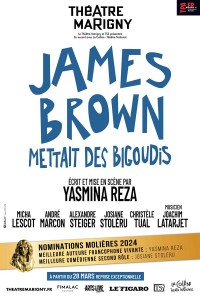 Affiche James Brown mettait des bigoudis - Théâtre Marigny